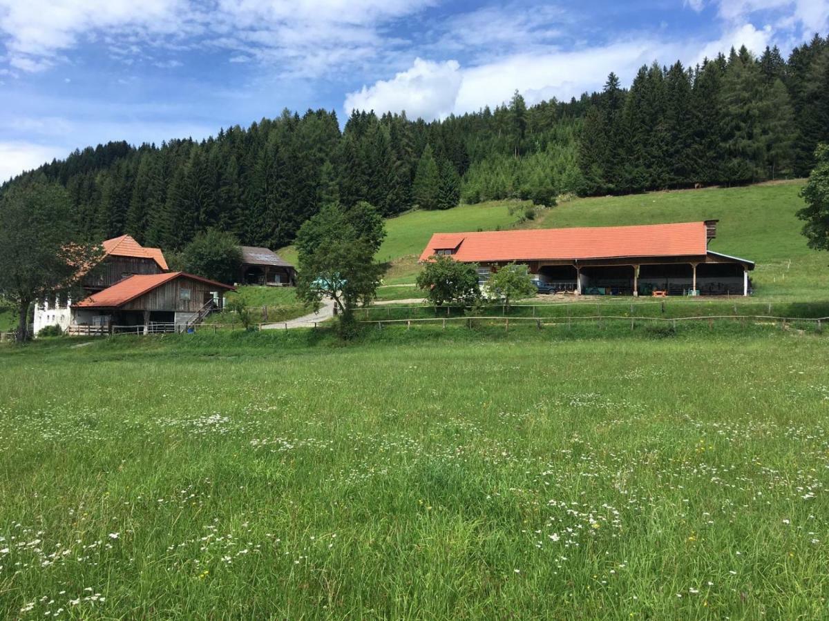 Apartmán Urlaub Am Moarbauerhof Mühlen Exteriér fotografie